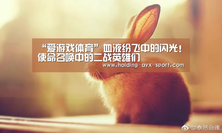 “爱游戏体育”血液纷飞中的闪光!使命召唤中的二战英雄们(图2) 爱游戏官网