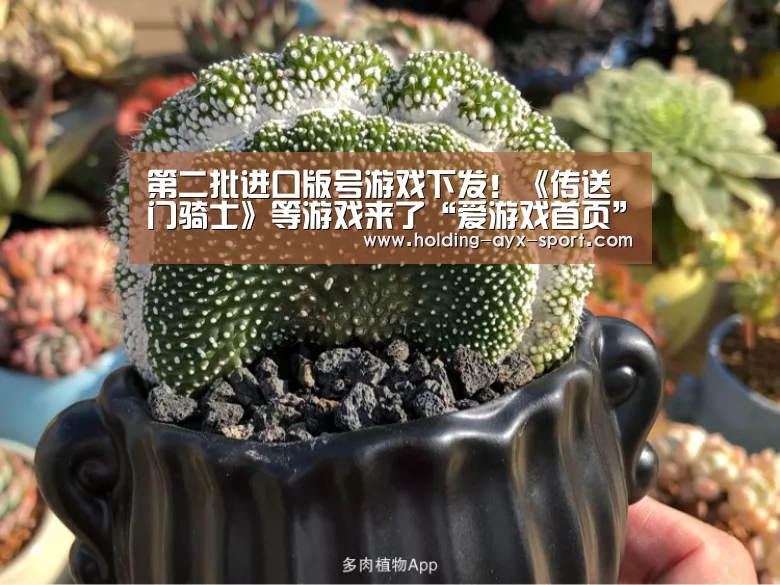 第二批进口版号游戏下发!《传送门骑士》等游戏来了“爱游戏首页”(图2) 爱游戏体育