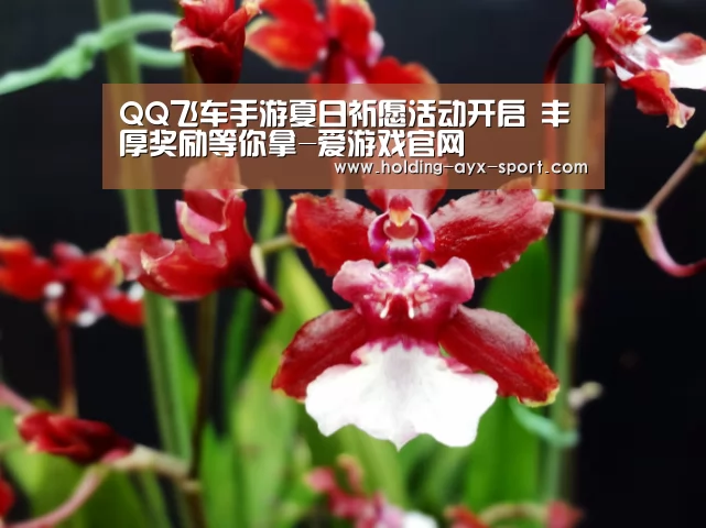QQ飞车手游夏日祈愿活动开启 丰厚奖励等你拿-爱游戏官网(图2) 爱游戏首页