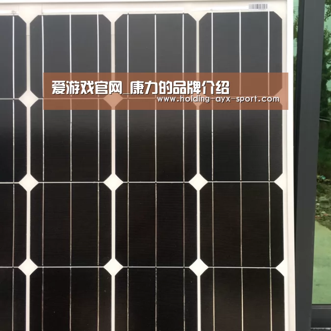 爱游戏官网_康力的品牌介绍(图1) 爱游戏