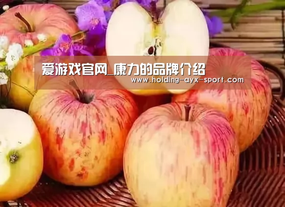 爱游戏官网_康力的品牌介绍(图2) 爱游戏